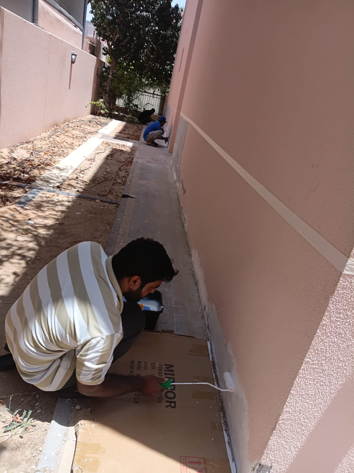 Garden Maintenance Services Dubai Dubai completed project